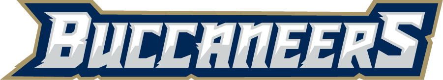CSU Buccaneers 2019-Pres Wordmark Logo v5 t shirts iron on transfers
